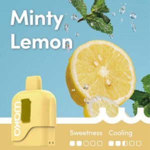 WAKA SOMATCH MINTY LEMON 3000 PUFFS POD ONLY