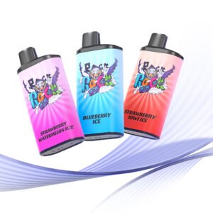 10PCS OF IGET BAR PRO 10000 PUFFS