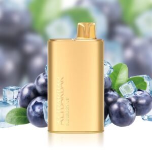 ALIBARBAR RICH BLUEBERRY ICE 8000 PUFFS