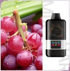 FISCO MIX BAR ALOE GRAPE 12000 PUFFS