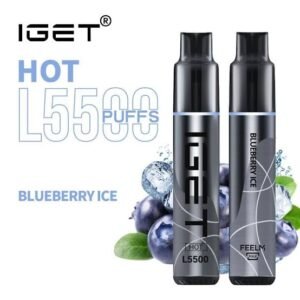 IGET HOT BLUEBERRY ICE 5500 PUFFS