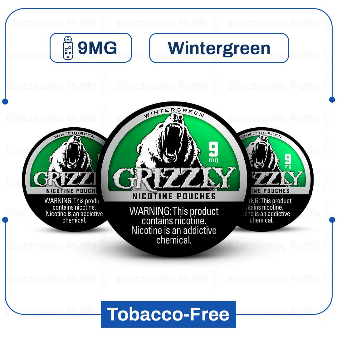 Grizzly Wintergreen 9 mg Nicotine Pouch