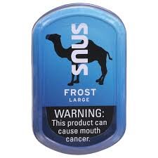 Buy Camel Snus Large Frost