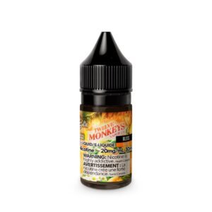 Bliss Twelve Monkeys Nic Salt 30ML'